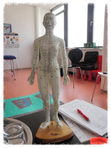 Ortsbild von „Institut für Kinesiologie & Touch for Health Ausbildungen Wien – Mag. Helga Schmutz“